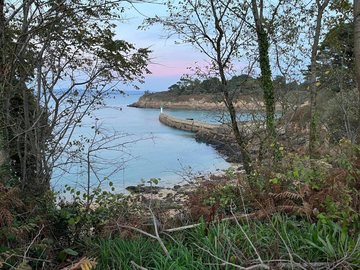 Tres Bel Appartement Vue Mer Avec Piscine Douarnenez Bagian luar foto